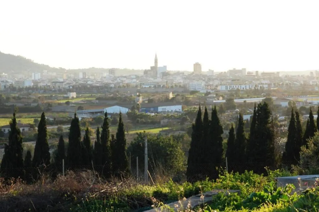 Feriehus Finca Can Peixet Manacor